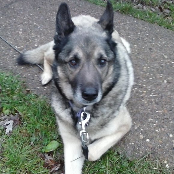 Have fun, be a little naughty, and laugh like you're crazy!!! - Picture 2 of 2